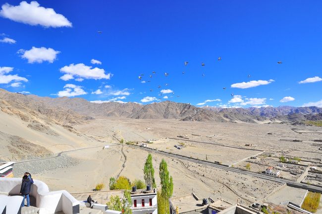 ゴンパの周りには常時50羽以上の鳩の群れが２つ周遊していました。