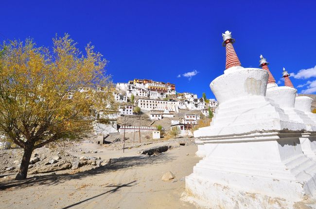 さすが最大寺院の一つ、という貫禄がありました。