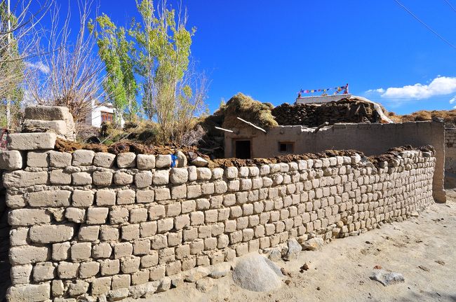 糞を干しています。