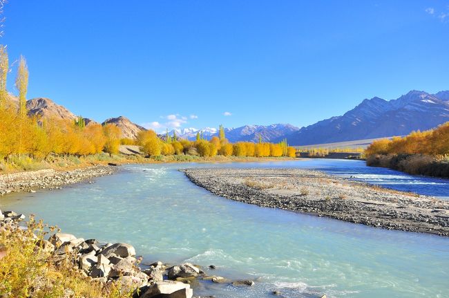 これだけ見ると、カナダ？