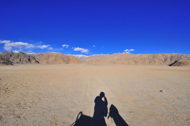 改めて壮大な景色に見とれていました。<br />よそ見していたせいで、道路から外れて「ガッシャーン！」とずっこけてしまいました。<br />幸い怪我なく、誰も何も傷つけることなかったのですが、見とれすぎも危険ですね。