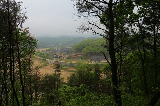 1ヶ所だけ開けた所から水鳥里の全景を見る事ができました。