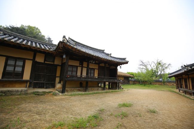 お庭も広くできてます。