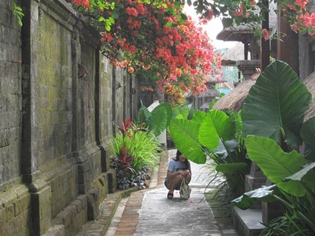 歩いているだけで楽しいです。<br />そしてお花もいたるところに咲いています。