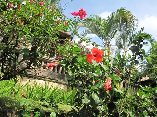 リゾート内も自然がいっぱい。