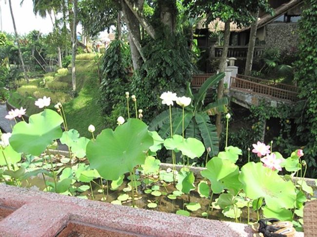 ハスの花壇と、奥はシャレーかな？