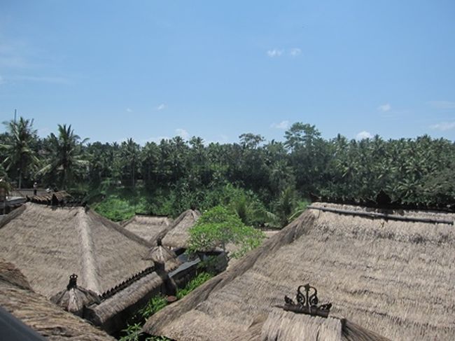 周りはジャングル