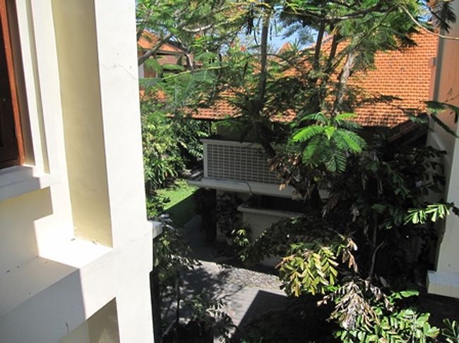 見下ろしてみた。