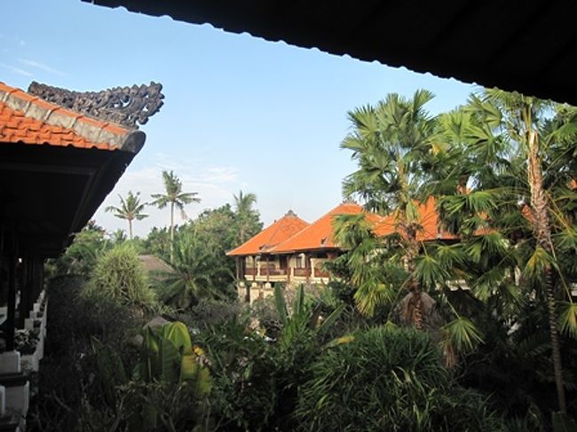 ベランダからの眺め。<br />海沿いな割りに自然がいっぱいです。