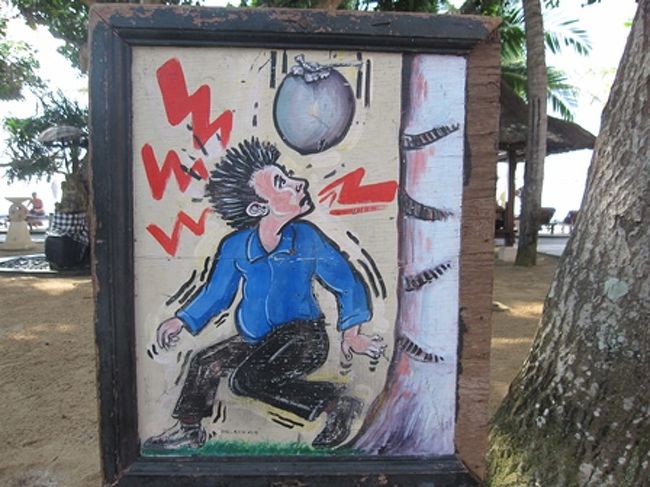 実は、そんなヤシの実も危険だったりする。