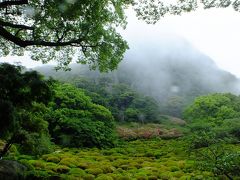おお〜〜！素敵じゃ〜〜〜ん。って、ツツジはも終わっていますけどね。