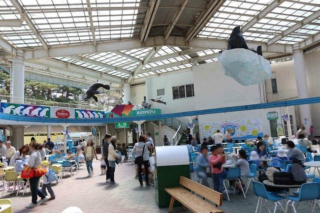 マリンピア 松島水族館 ☆ ありがとう ～ (^O