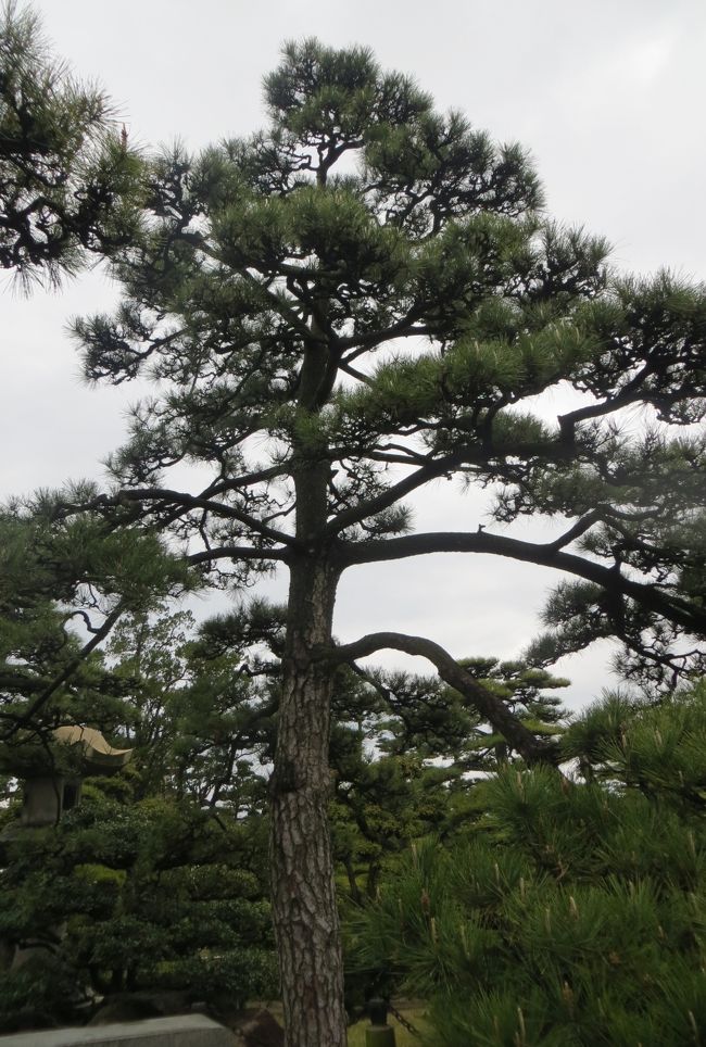 2015春、近畿・中国・四国の百名城巡り(36/38):4月5日(7):高松城(2):玉藻公園、披雲閣、庭園、雪見灯篭