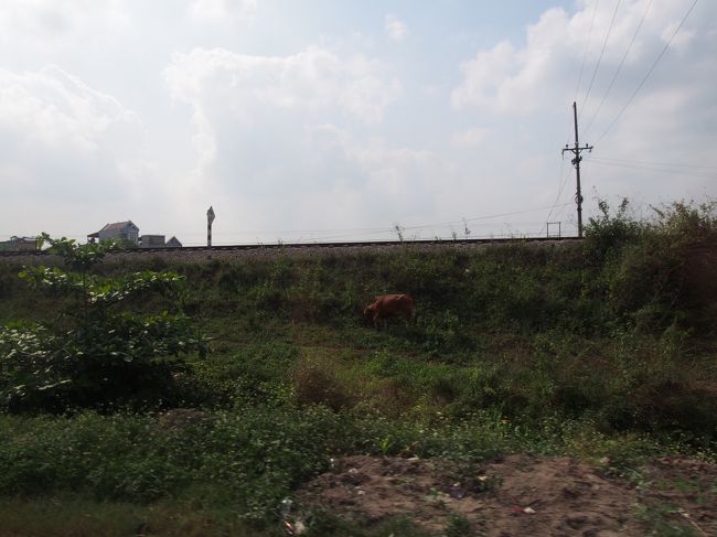 寝ていたら、ガタン！と大きく揺れました。<br /><br />何事かと思って飛び起きたら、中央分離帯を花壇を乗り越えて<br />まさかの対向車線を逆走しようとしているところでした。<br /><br />うそーん。<br /><br />渋滞に巻き込まれて、間に合わないと思ったのかな。<br />日本じゃありえない、びっくりな体験でした。