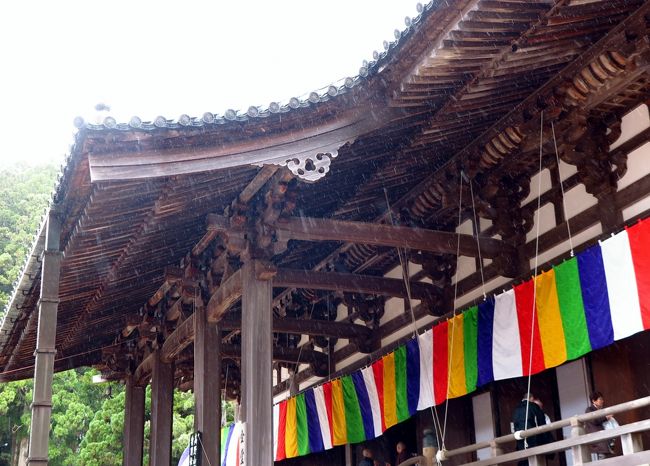 高野山2/3 壇場伽藍 金堂・大塔・不動堂など参観 ☆御本尊薬師