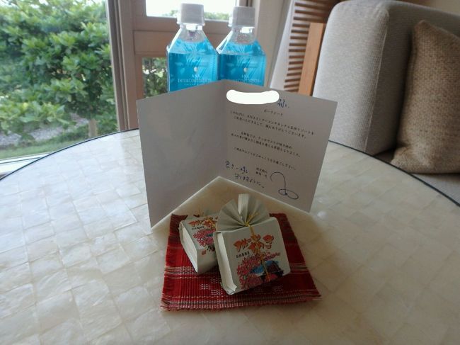 嬉しいですよね、メッセージカード<br />お水は毎日くれました