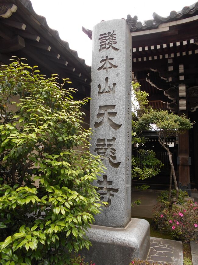 武蔵新宿 八幡太郎義家を遠祖とする勝間田氏分流戸塚氏の出自で夫西郷義勝の戦死後家康に召され将軍秀忠を生んだお愛の方ゆかりの名刹『天龍寺』散歩