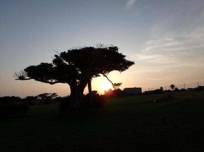 コーラルウイングからお庭に出てすぐ<br />夕日がきれい〜