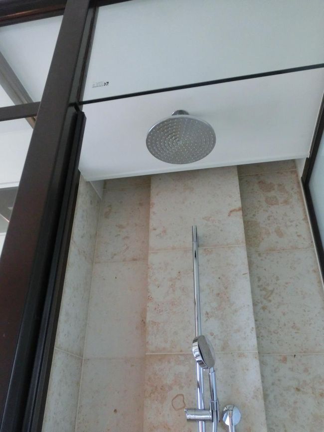 天井からもシャワーが使えます。