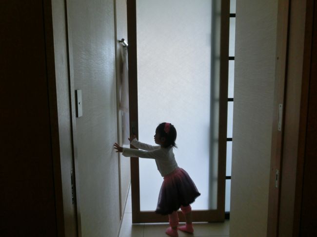 お部屋に入ってのガラス戸は、お手洗いへのドアでした。