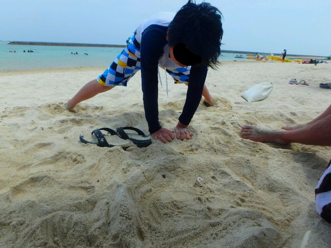 さらに小さいやどかりもいて、興奮！