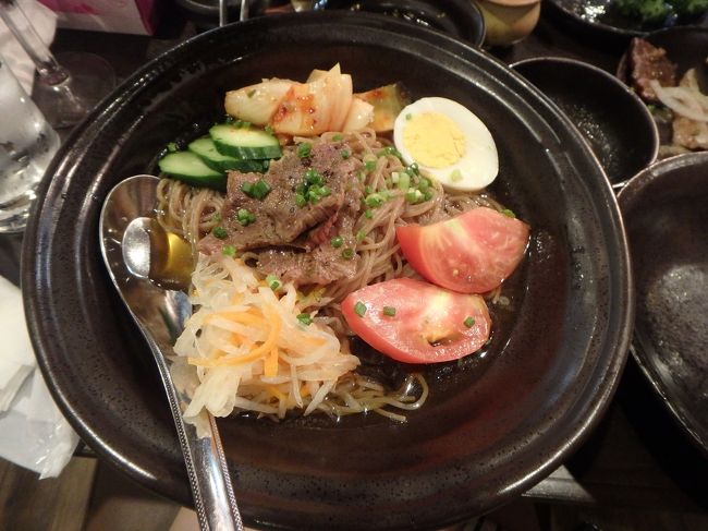 これもめちゃうま<br />ととり冷麺<br />どんぐり粉の麺らしい！細麺がしっかりつるつるっと<br />あ〜また食べたいいい