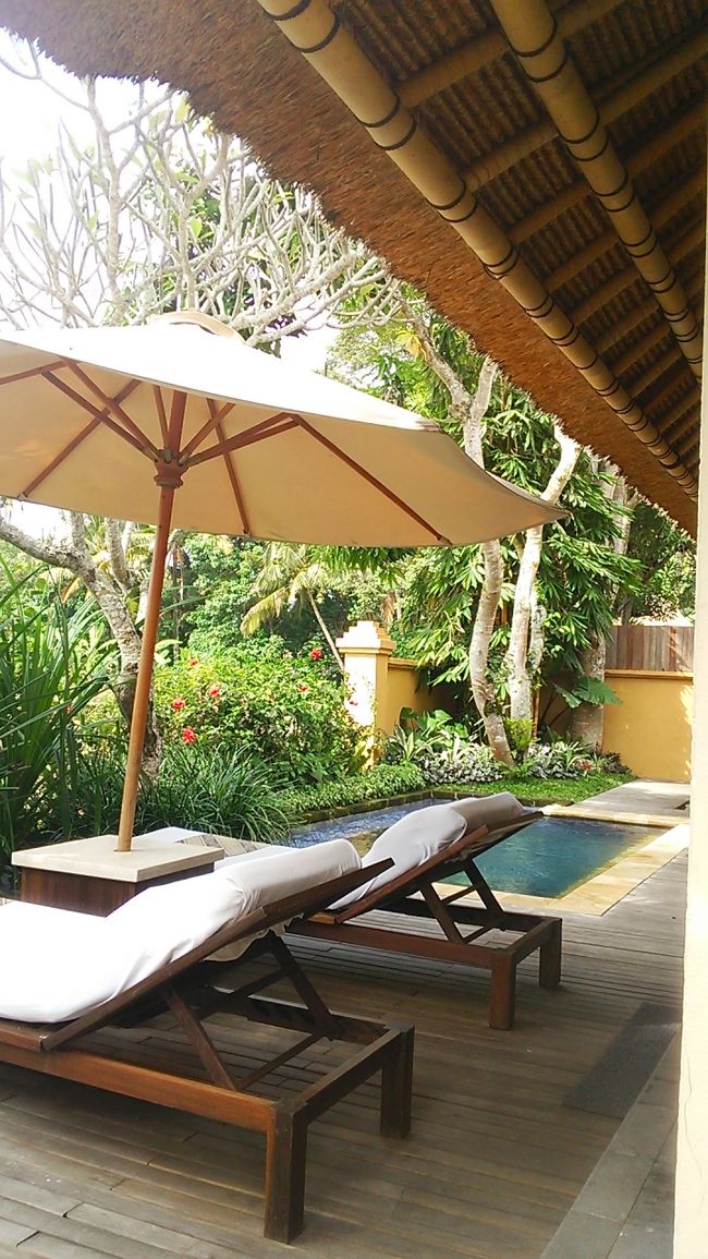 ウブドのコマネカ・モンキーフォレストにチェックイン。プールヴィラは田園風景が目の前に広がる絶景のロケーション。