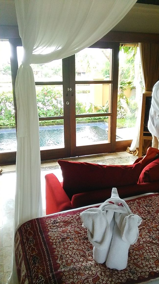 天蓋ベットの寝室からプライベートプールを望む。