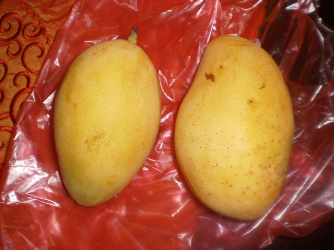 　　マンゴー　キロ　２５千ドン　<br /><br />　　写真　　二個　２０千ドン<br /><br />　　ホテルメイドにむいて貰う。<br /><br />　　チップ換わりにひとつプレゼント交渉成立　