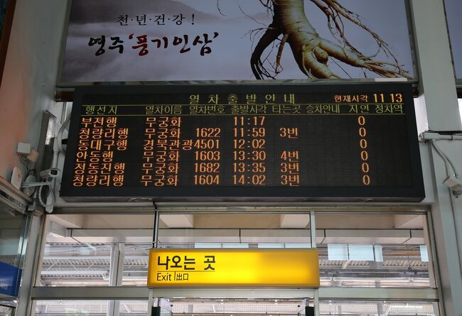 栄州（ヨンジュ）12時02分発　東大邱（トンテグ）行き<br /><br />ムグンファ4501（臨時）列車