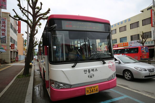 46番バスに乗車。