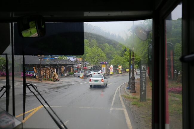 まもなく、河回村に到着。<br /><br />雨が降って来たので気分は下降ぎみです。