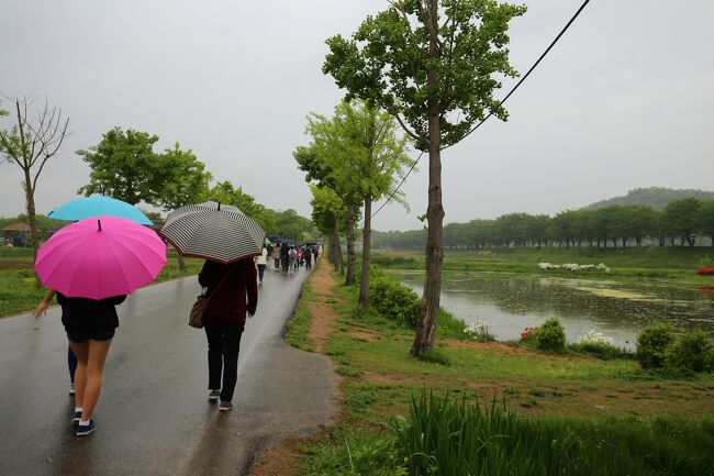 シャトルバスを降りたら村の入口と思ってはいけません。この写真のようにもう少し歩かないと村に到着しません。雨が降っているとやたら遠く感じます。