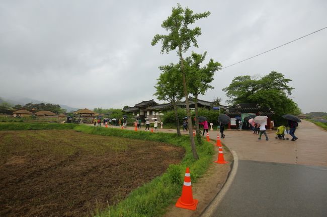 やっと、河回村に到着。観光案内図が見えます。