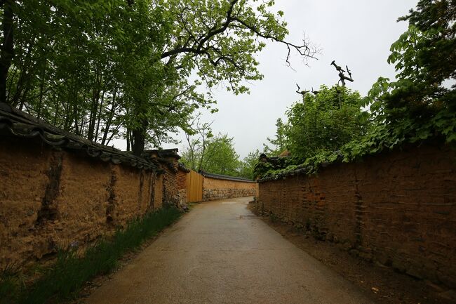 今回は観光案内所でもらったパンフレットを見ながら回ろうとしましたが、結局迷ってしまいました。