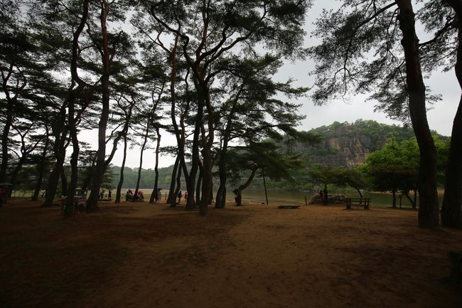 万松亭　松林から見る芙蓉臺