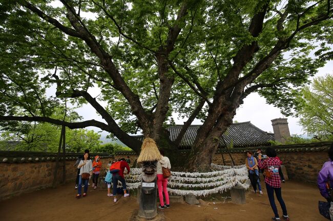 ☆ 三神堂　神木（守護樹）
