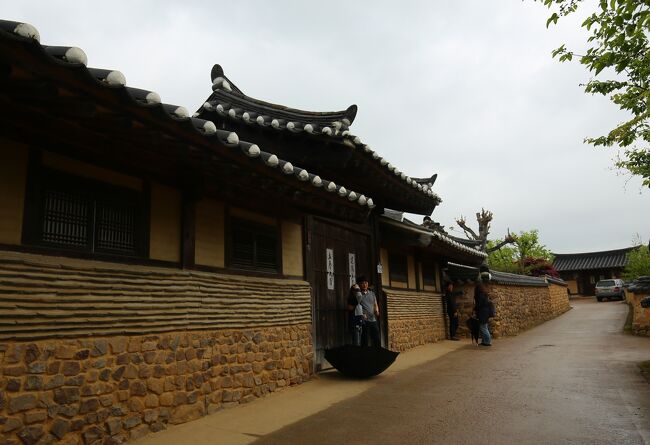 そしてここは、河回村で有名な所です。<br />自分も来てしまいました。<br /><br />このな雨の中でも人が途切れる事がないほどの人気スポット。<br />説明はいらないと思います。