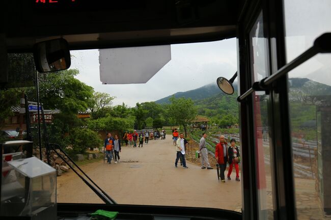 帰りのバスは河回村の中のバス停で乗車できるます。<br />（写真は河回村を出発した所、この先に河回村の観光案内図があります）<br /><br />バスの安東到着予定時刻が17時20分。栄州行きのムグンファ号が安東駅を17時20分発。もしかしたら間に合うかもしれないので、時間との戦いになりました。