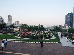 大阪市営地下鉄堺筋線の北浜駅で降りて、目指すは中之島バラ園。

橋から下に降りたところにバラ園はありました。

会社帰りらしきサラリーマンやOLさんもたくさんいました。