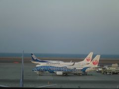 ２０１５年１月２５日　セントレアから沖縄へ。
今回は入退院後リハビリ中のメンバーが居るのでリーズナブルでもゆったり目のシートが快適なJALのJシートを予約しました。
一人旅で国内線利用の時は少しでもお安くと考える貧乏性な私。久々のJシートは嬉しいです。
しかも駐機場でジンベイジェット発見。ジンベイジェット可愛いから大好きな私は「ちょっと、見て見て〜ジンベイジェットだよ〜」と、ハイテンションに。
「別に中は普通じゃないの〜」と冷静な家族達。
でも、結局私達が乗る便は普通の飛行機でした。残念。
（後日私は念願のさくらジンベイに乗っちゃいましたが）
