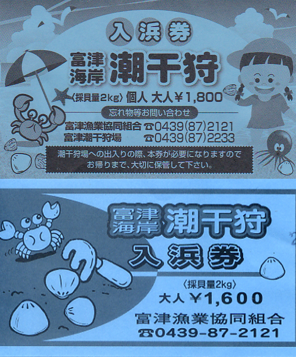 楽しくも 腹立たしきかな 潮干狩り 千葉県富津市 富津 千葉県 の旅行記 ブログ By ねんきん老人さん フォートラベル