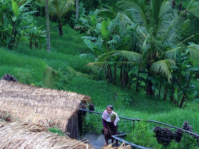 ドリアンを売ってるおばあちゃんが、下から手招きしてる。。。<br />このおばあちゃん可愛い💕