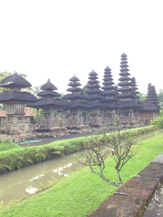 手前にあるような二重の塔は珍しいらしいです。<br />敷地内は公園のようになっていてとても広いです。<br />いろいろな木々を見ながら散策するのも楽しいですよぉ💕