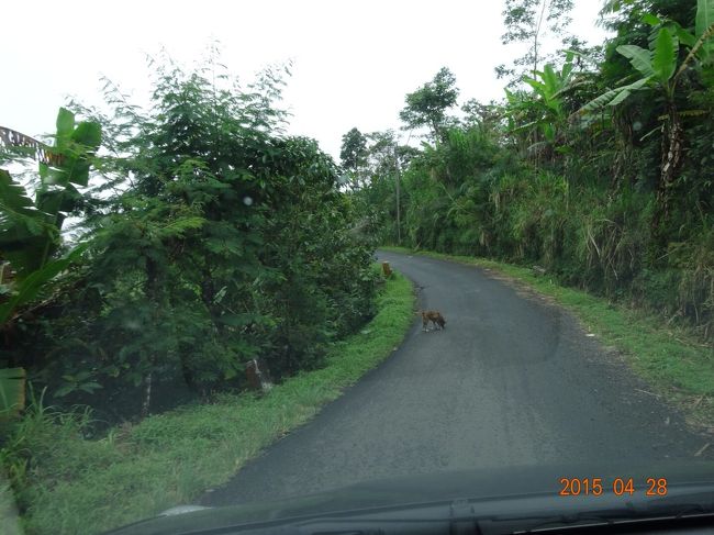 で、聞いた裏道で目指します。<br />裏道は小さな村をいくつも通過します。この小さい村では、小学生がバイクで通学してる。<br />しかも２人乗りで・・・すっごい違和感。<br />歩くと距離があるから仕方ないらしいです。ん？仕方ないのか？