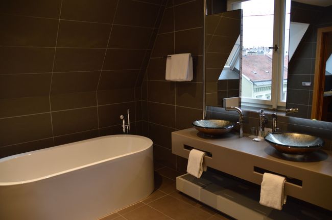 これがバスルームで手前にシャワーとトイレが付いている。