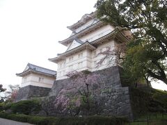 もうそろそろ日も落ちる頃だけど、乗り換えついでに小田原城にも行ってみました。