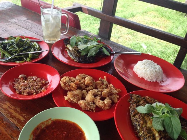 焼き魚×２、ウォータースピナッチ、魚のスープ×２、えびのから揚げ、ごはん×２、<br />ココナッツジュース×２で1500円くらいです。<br />お魚もえびも美味しい！