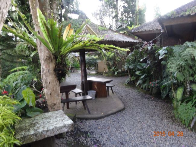 そして、ライステラスが綺麗に見えるカフェでコーヒータイム。