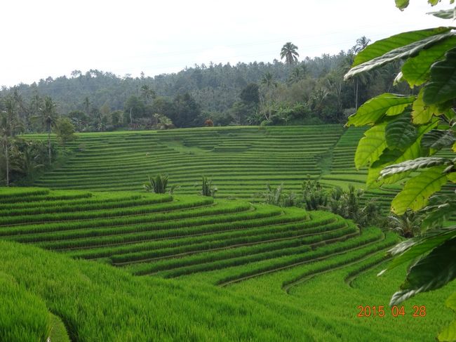 癒しの時間となりました。